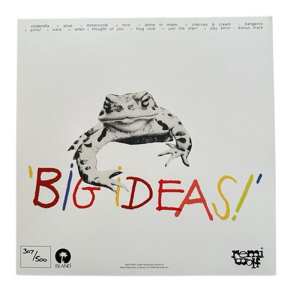Remi Wolf – Big Ideas (Blood Records Frog Rock Edition) Ltd Transparent Picture - Picture 2 of 9